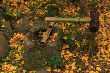 Autumn foliage in the Sankeien Garden, Yokohama, Kanagawa, Japan