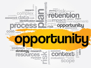 Opportunity and success word cloud, business concept