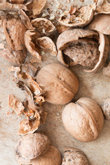 broken walnuts