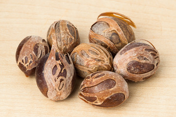 Close up and selective focus on the dried Nut Meg at foreground