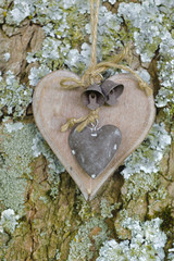 wooden carved heart at tree bark