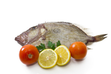 fresh fish isolated