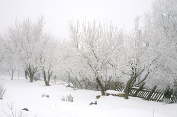 Fototapeta na wymiar Country garden in winter during cloudy day.