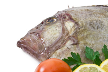 fresh fish isolated