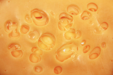 emental cheese background