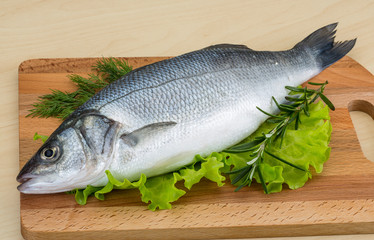 Raw seabass