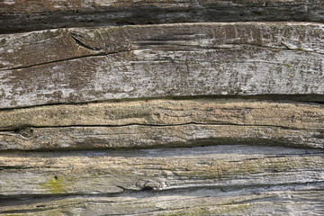 Obraz premium Wooden wall of the old log house
