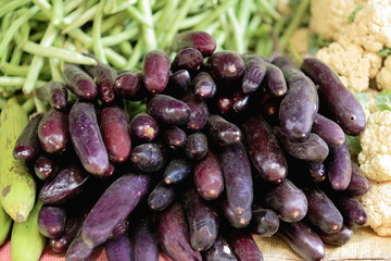 Eggplants-cauliflower-green beans-. Dhulikhel-Nepal. 1039