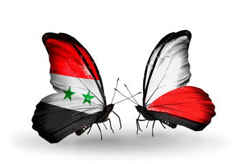 Two butterflies with flags Syria and Poland