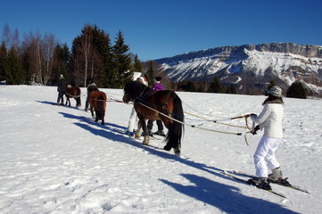 ski joëring