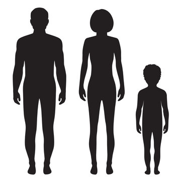 human body anatomy,front vector man, woman silhouette
