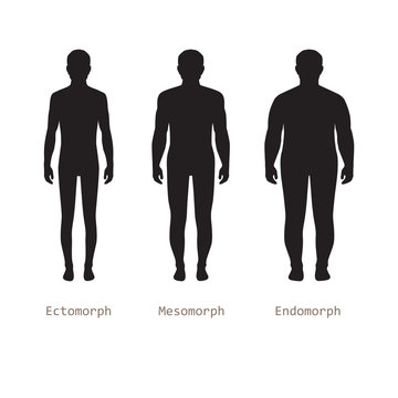 body male types, silhouette man naked figure, front human body