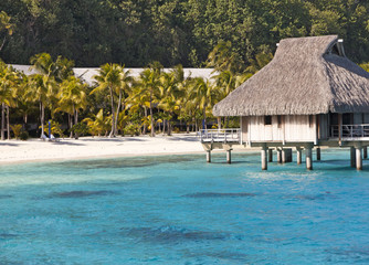 Polynesian landscape-seacoast with palm trees and small houses