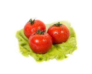 Three tomatoes lying on a sheet of green salad