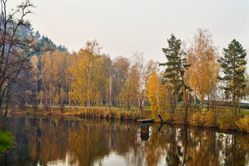 autumn trees in the pond in the park
