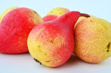 Red pears