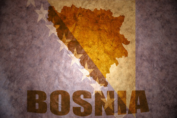 Vintage bosnia map