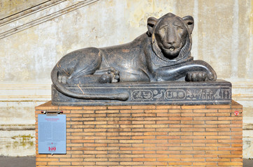 Obraz premium The Vatican museums in Rome, Italy