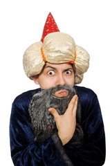 Funny wise wizard isolated on the white