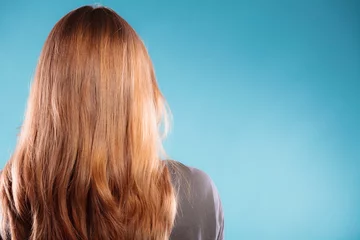 Crédence de cuisine en verre imprimé Salon de coiffure female brown long healthy loose hair rear view