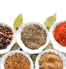 Different kinds of spices in ceramics bowls isolated on white