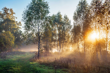 Autumn landscape