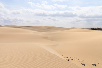 Fototapeta na wymiar Sand desert in Viana Boavista, Cape Verde