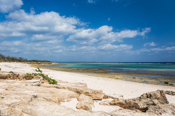 Fototapeta na wymiar 沖縄 自然のビーチ