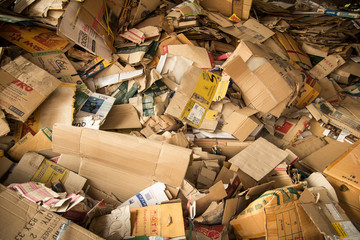 Cardboard Waste