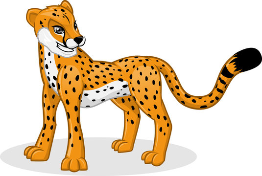 High Quality Cheetah Cartoon Vector Illustration
