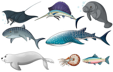 Ocean animals