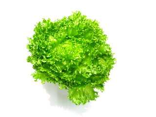 Fototapeta premium lettuce salad fragment on a white background