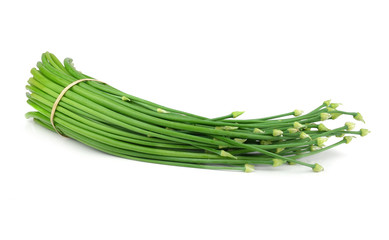 garlic flowers on white background