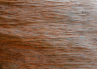 Obraz premium Dried banana leaves