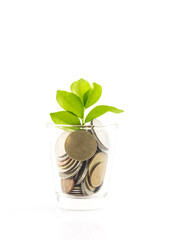 Fototapeta na wymiar plant and coins in glass, investment and business concepts