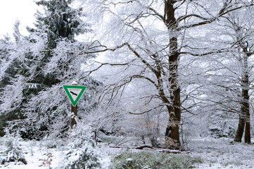 Winterwald