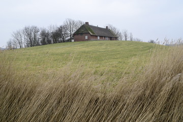 Obraz premium Friesisches Bauernhaus auf einer Warft