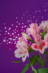 Fototapeta na wymiar Bouquet of flowers alstroemeria
