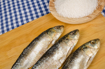 Salt preserved sardines