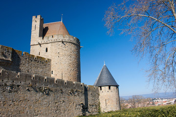Fototapeta na wymiar Muraille de la cité de Carcassonne
