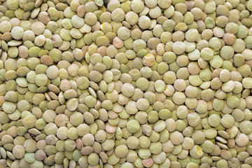 lentil beans