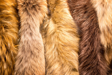 Animals hairs background