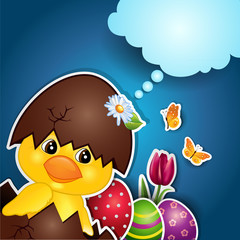 Chick egg blue background