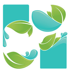 vector collection of leaves and water symbols and stickers