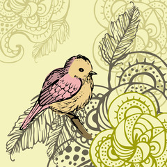 Bird background