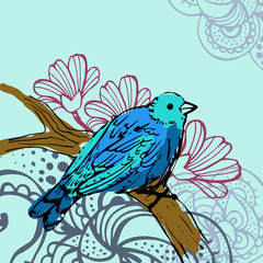 Bird background