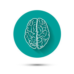 Human brain vector icon flat illustraton with shadow