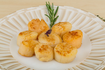 Grilled scallops