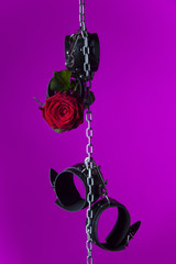 Handschellen und eine Rose an einer Kette