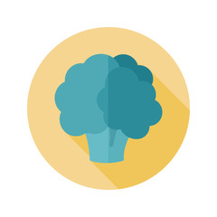 Cauliflower flat icon with long shadow